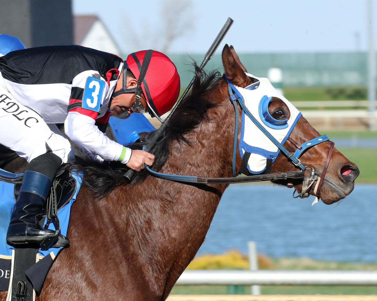 Open R08 File SLEEPY - The Brian Elmore Overnight Handicap - 04-07-26 - R08 - Horses ...