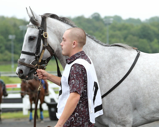 SMOOCH UP - The 20th Running of The Malvern Rose Stakes - 06-22-26 - R07 - PID - Paddock 05