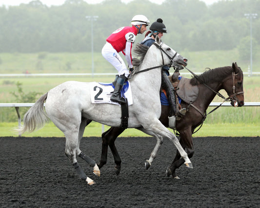 SMOOCH UP - The 20th Running of The Malvern Rose Stakes - 06-22-26 - R07 - PID - Post Parade
