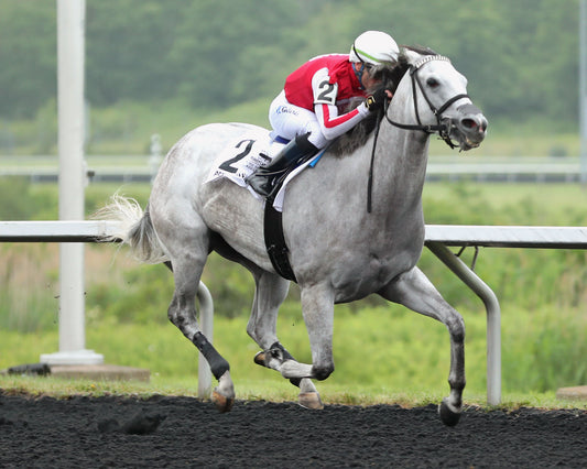SMOOCH UP - The 20th Running of The Malvern Rose Stakes - 06-22-26 - R07 - PID - Tight Finish