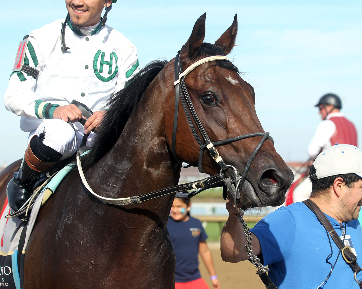 SOCORRO'S PRAYER - Unreachable Star - 7th Running - 10-24-26 - R07 - Horseshoe Indiana - Comeback 01 - Casey Cable - Coady Media - Kurtis Coady Photography