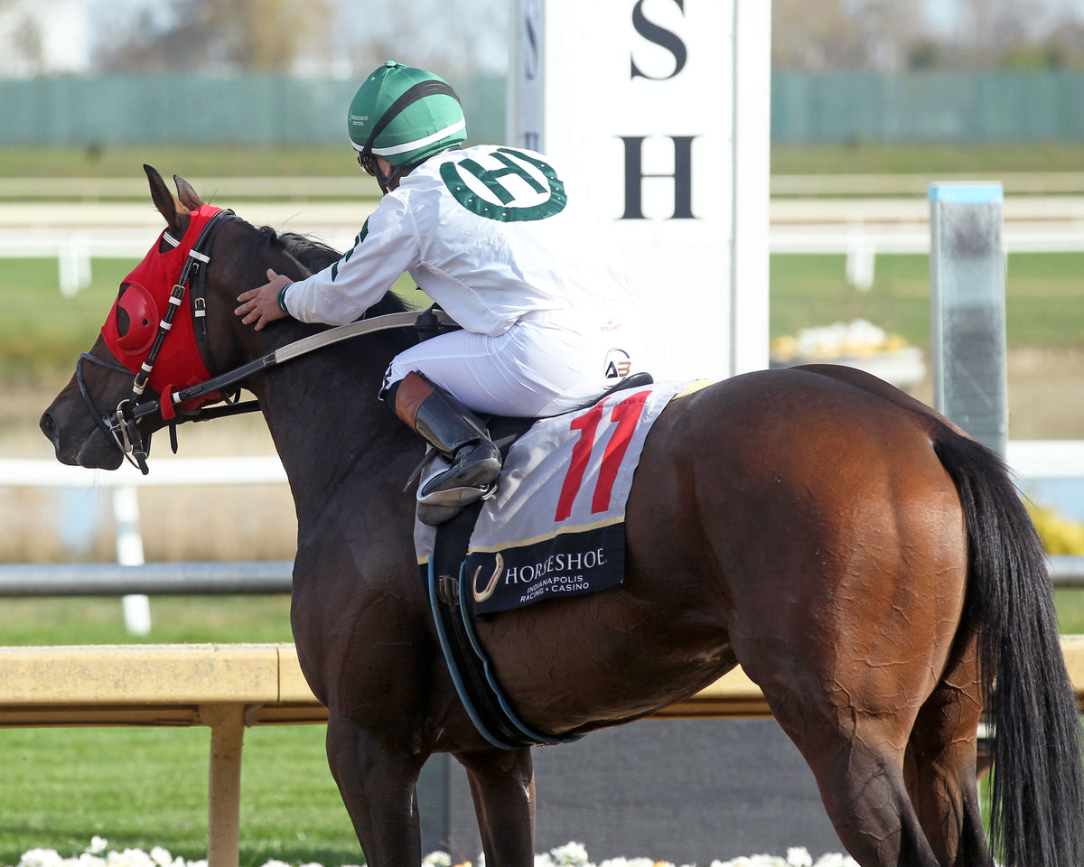 SOCORRO'S PRAYER - Unreachable Star - 7th Running - 10-24-26 - R07 - Horseshoe Indiana - Comeback 02 - Casey Cable - Coady Media - Kurtis Coady Photography