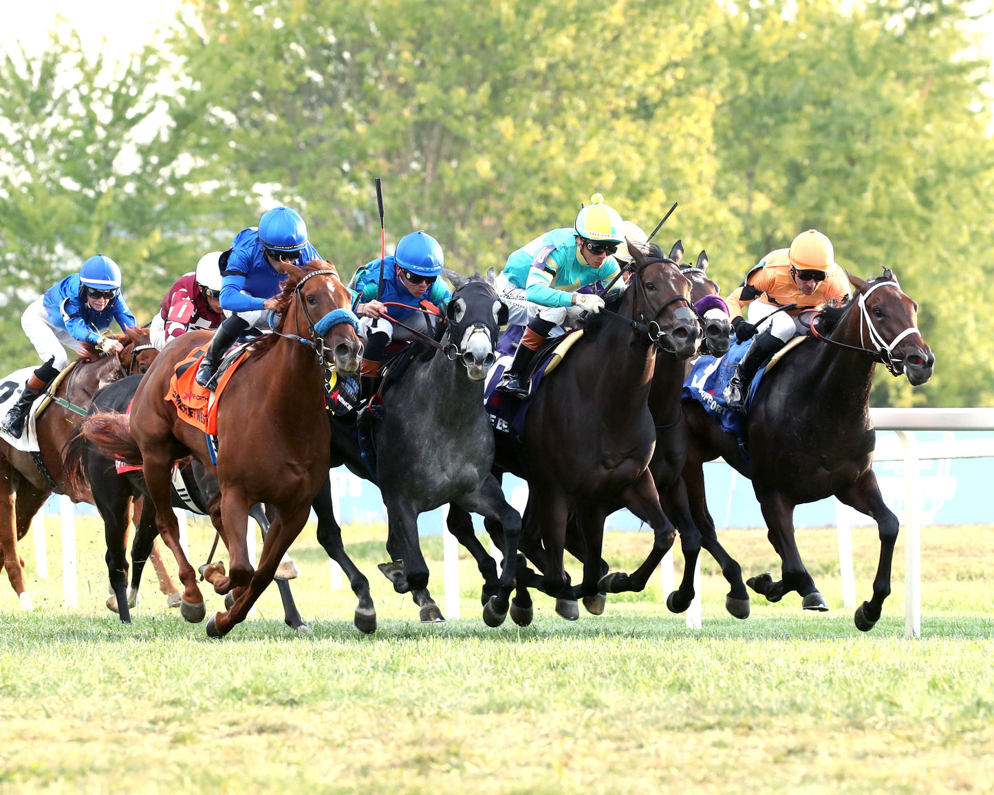 SOMERSET WEST - The Ainsworth Music City Stakes G2 - 09-05-26 - R10 - KD - Finish 02