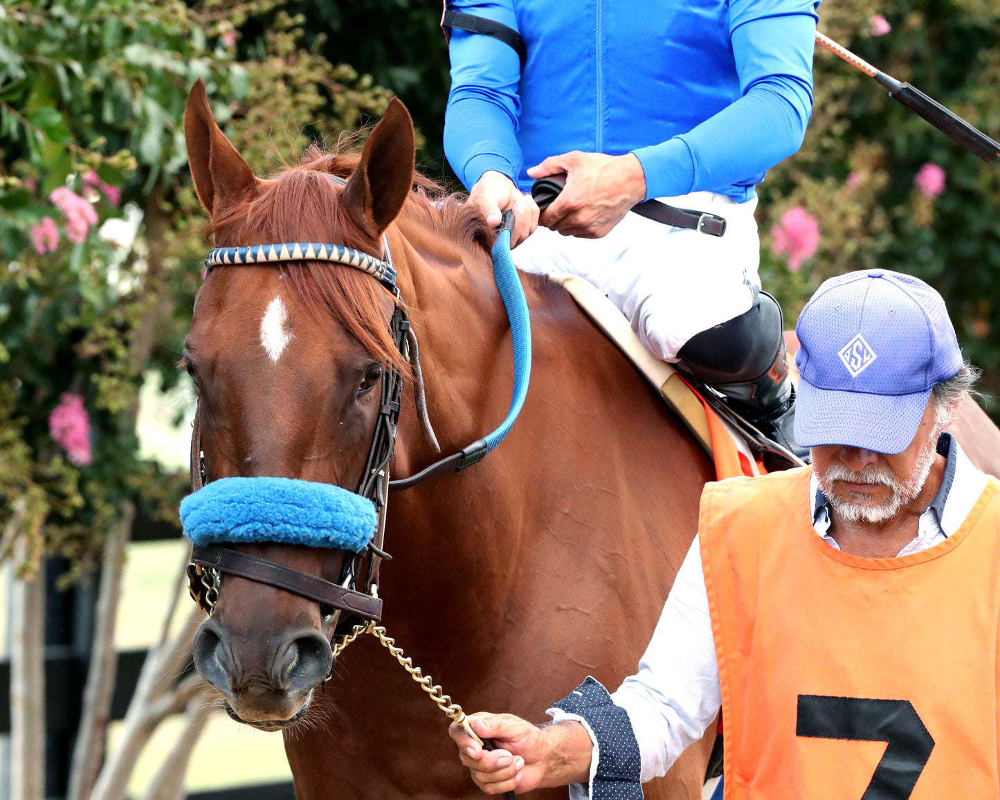 SOMERSET WEST - The Ainsworth Music City Stakes G2 - 09-05-26 - R10 - KD - Paddock 01