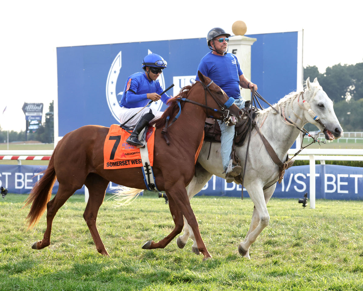 SOMERSET WEST - The Ainsworth Music City Stakes G2 - 09-05-26 - R10 - KD - Post Parade 01