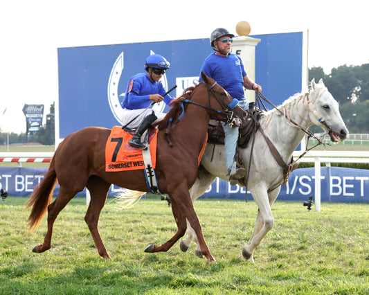SOMERSET WEST - The Ainsworth Music City Stakes G2 - 09-05-26 - R10 - KD - Post Parade 01