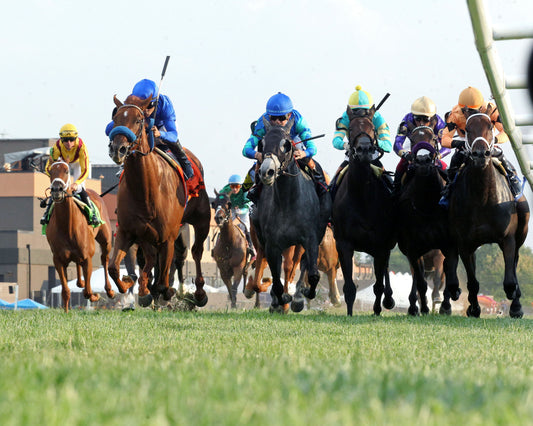 SOMERSET WEST - The Ainsworth Music City Stakes G2 - 09-05-26 - R10 - KD - Under Rail 01