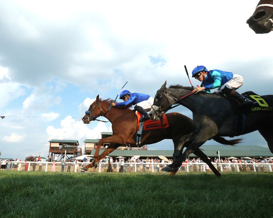 SOMERSET WEST - The Ainsworth Music City Stakes G2 - 09-05-26 - R10 - KD - Under Rail 02