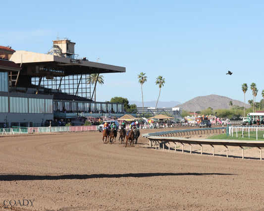 SONG OF SONGS - The Arizona Oaks presented by Taylor Made - 03-21-26 - R06 - Turf Paradise - Turn Shot - Coady Media - Kurtis Coady Photography