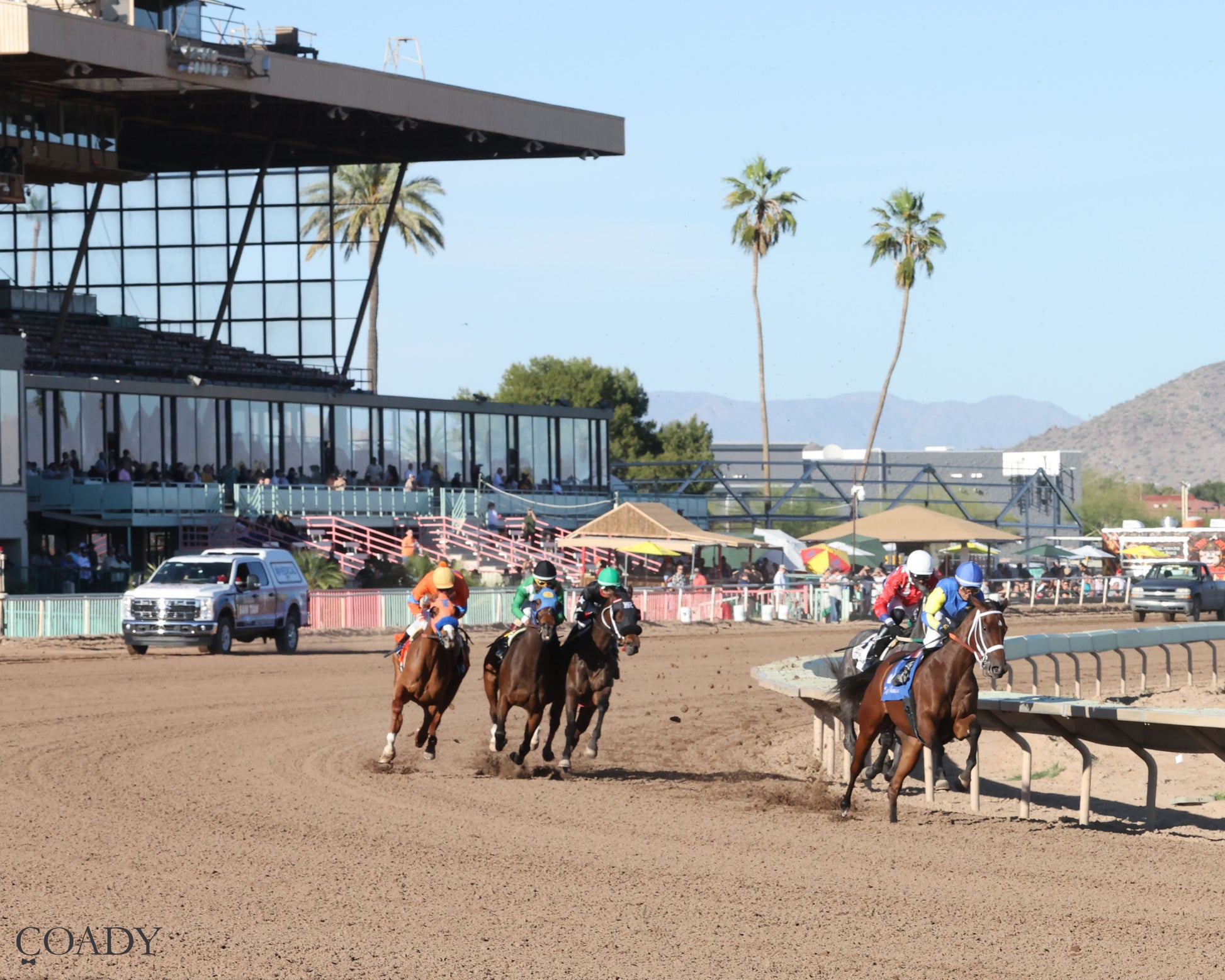 SONG OF SONGS - The Arizona Oaks presented by Taylor Made - 03-21-26 - R06 - Turf Paradise - Turn Shot 2 - Coady Media - Kurtis Coady Photography
