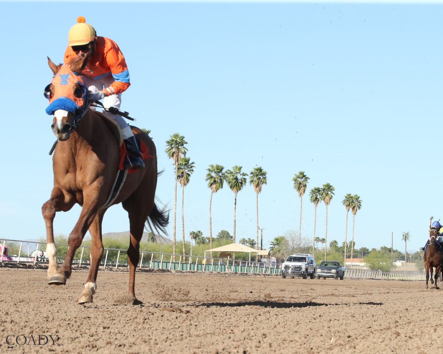 SONG OF SONGS - The Arizona Oaks presented by Taylor Made - 03-21-26 - R06 - Turf Paradise - Under Rail - Coady Media - Kurtis Coady Photography