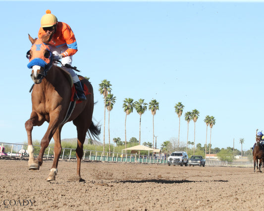 SONG OF SONGS - The Arizona Oaks presented by Taylor Made - 03-21-26 - R06 - Turf Paradise - Under Rail - Coady Media - Kurtis Coady Photography