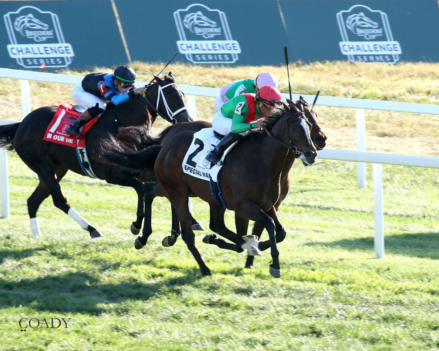 SPECIAL WAN - Resolute Racing Ladies Turf Stakes - 08-30-25 - R11 - KD - Aerial Finish 02 - Coady Media - Kurtis Coady Photography