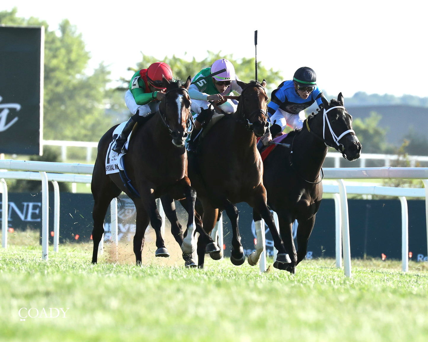 SPECIAL WAN - Resolute Racing Ladies Turf Stakes - 08-30-25 - R11 - KD - Finish 02 - Coady Media - Kurtis Coady Photography