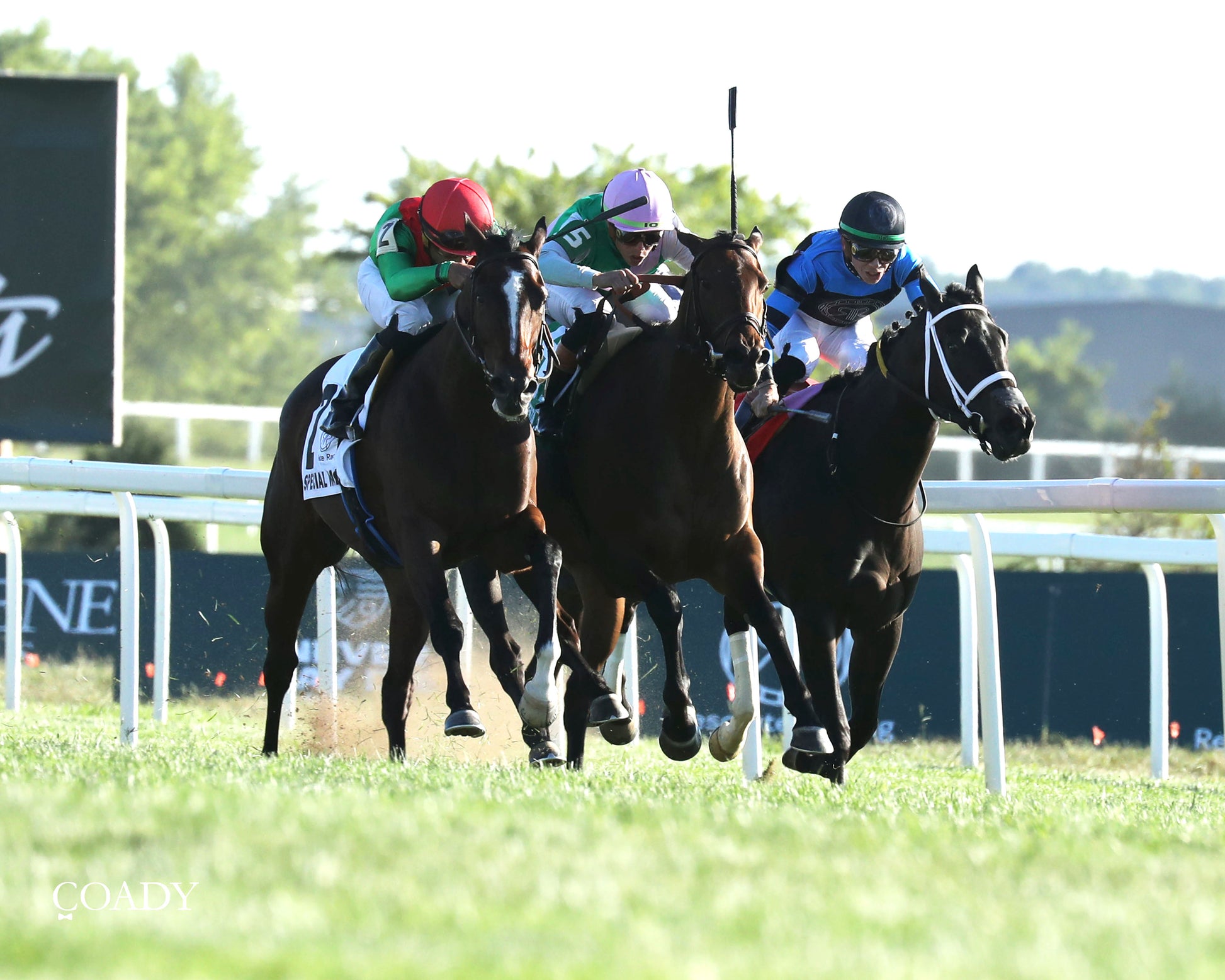 SPECIAL WAN - Resolute Racing Ladies Turf Stakes - 08-30-25 - R11 - KD - Finish 02 - Coady Media - Kurtis Coady Photography
