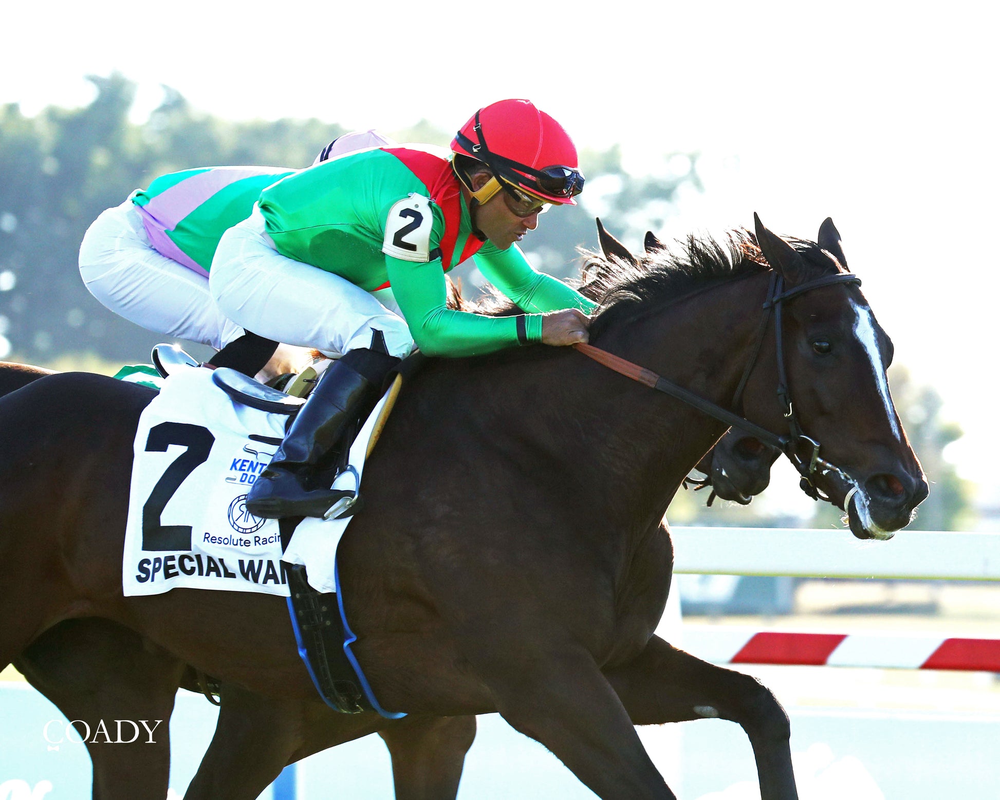 SPECIAL WAN - Resolute Racing Ladies Turf Stakes - 08-30-25 - R11 - KD - Finish 03 - Coady Media - Kurtis Coady Photography