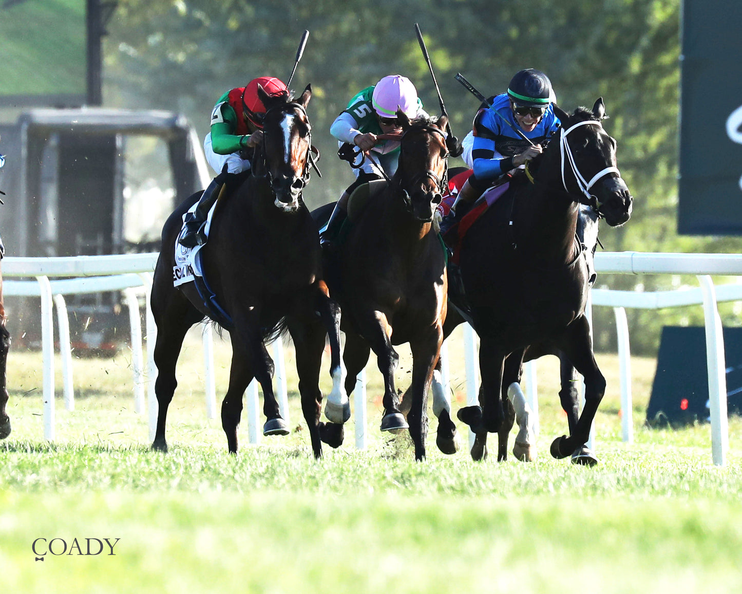 SPECIAL WAN - Resolute Racing Ladies Turf Stakes - 08-30-25 - R11 - KD - Finish 04 - Coady Media - Kurtis Coady Photography