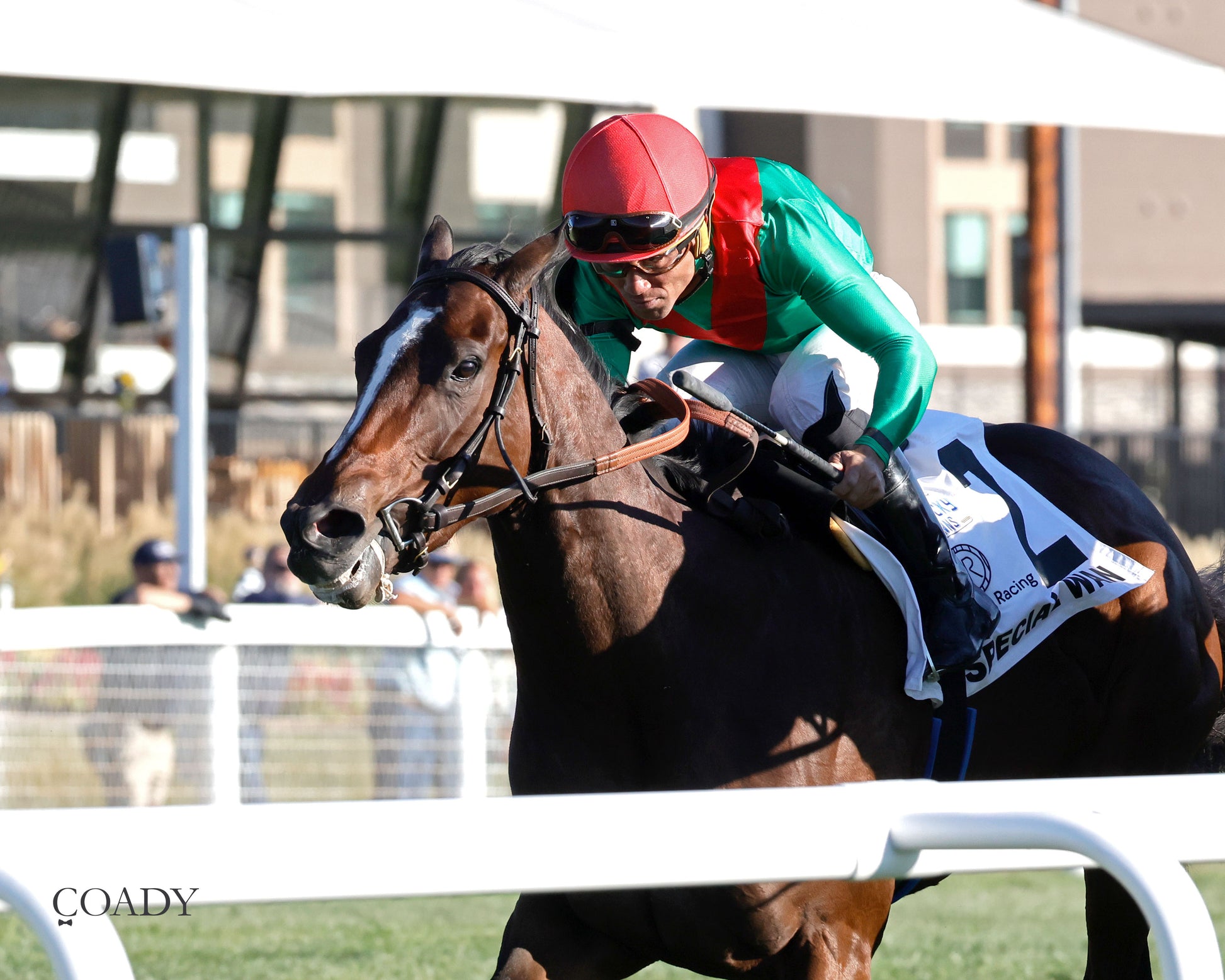 SPECIAL WAN - Resolute Racing Ladies Turf Stakes - 08-30-25 - R11 - KD - Inside Finish 02 - Coady Media - Kurtis Coady Photography