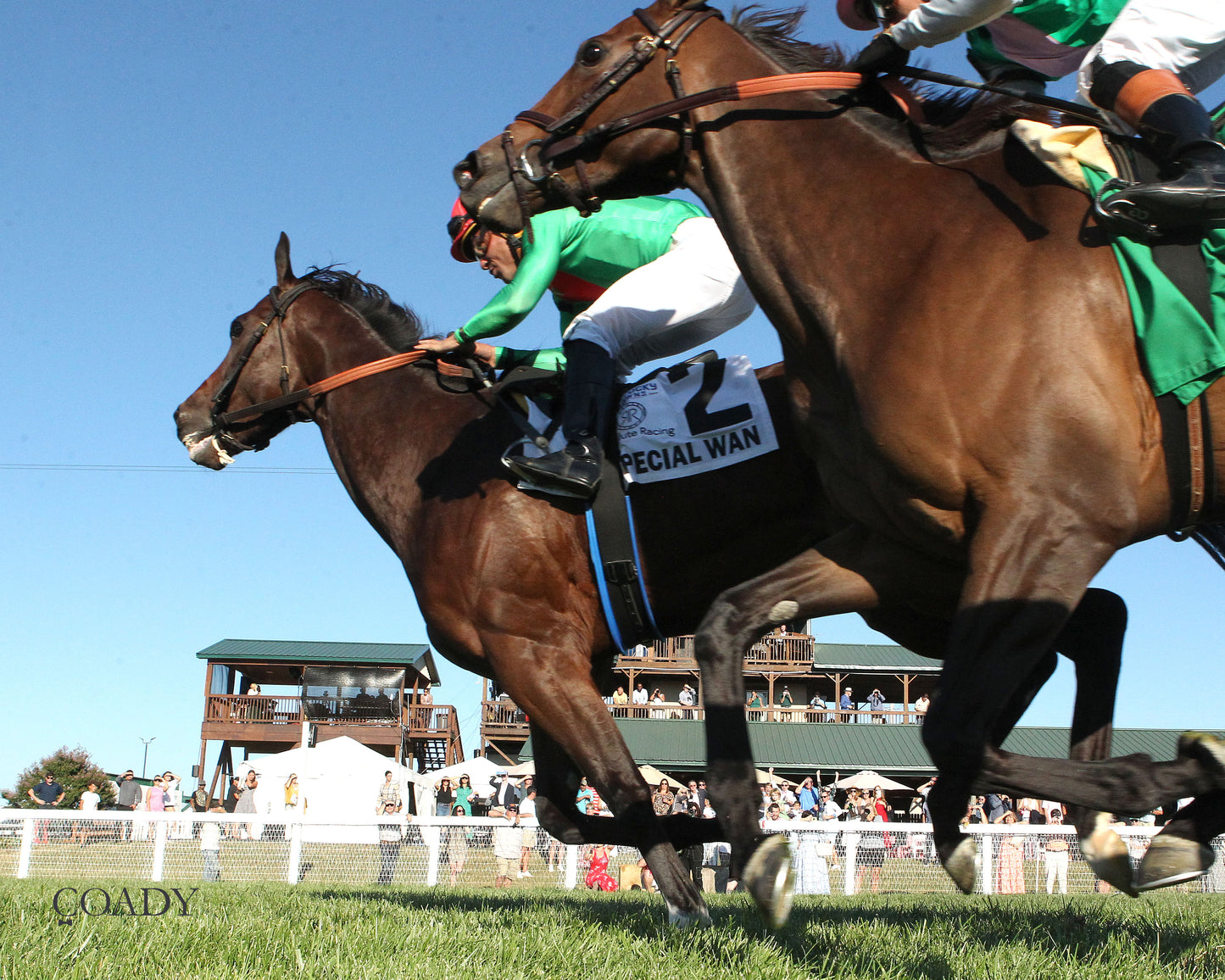 SPECIAL WAN - Resolute Racing Ladies Turf Stakes - 08-30-25 - R11 - KD - Under Rail 01 - Coady Media - Kurtis Coady Photography