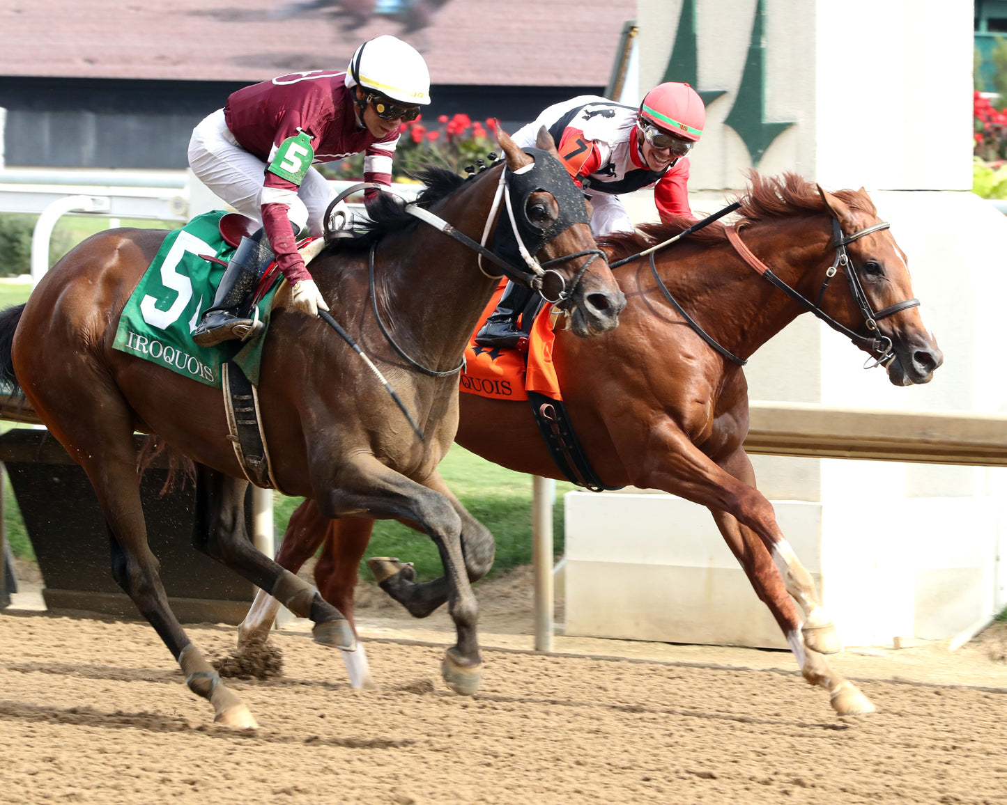 SPICE RUNNER - The Iroquois G3 - 44th Running - 09-13-25 - R08 - CD - Finish 03 - Coady Media - Kurtis Coady Photography