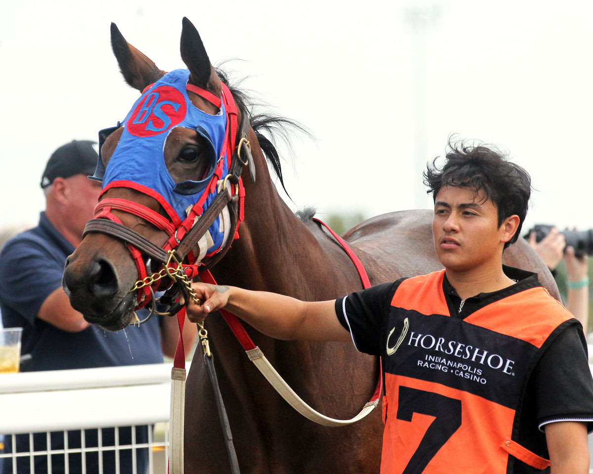 SPIRITED JUSTICE - ITOBA Stallion Season Fillies - 13th Running - 09-30-26 - R07 - Horseshoe Indiana - Paddock 01 - Casey Cable