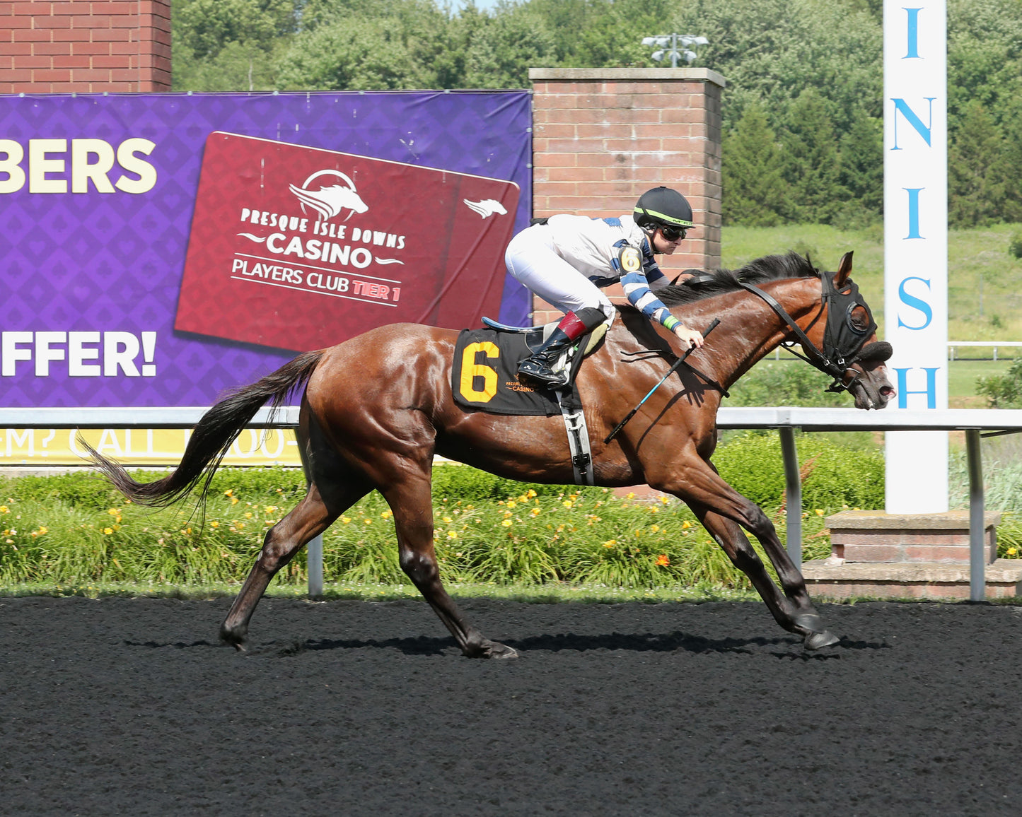 SPIRITED SOL - The 20th Running of The Karl Boyes Stakes - 07-03-26 - R07 - PID - Finish