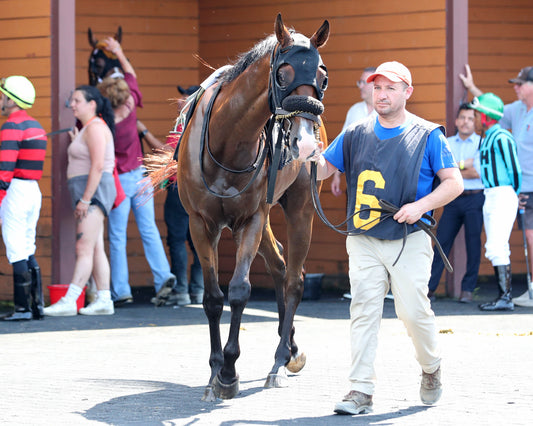 SPIRITED SOL - The 20th Running of The Karl Boyes Stakes - 07-03-26 - R07 - PID - Paddock 03