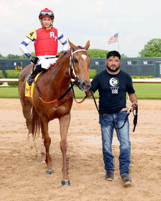 SPRING DANCER - Majestic Overnight Stakes - 04-26-26 - R08 - Comeback 01 - Coady Media - Kurtis Coady Photography