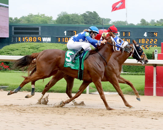 SPRING DANCER - Majestic Overnight Stakes - 04-26-26 - R08 - Finish 01 - Coady Media - Kurtis Coady Photography