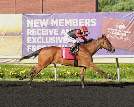 SQUAD GOALS - The 20th Running of The Tom Ridge Stakes - 06-15-26 - R07 - PID - Finish