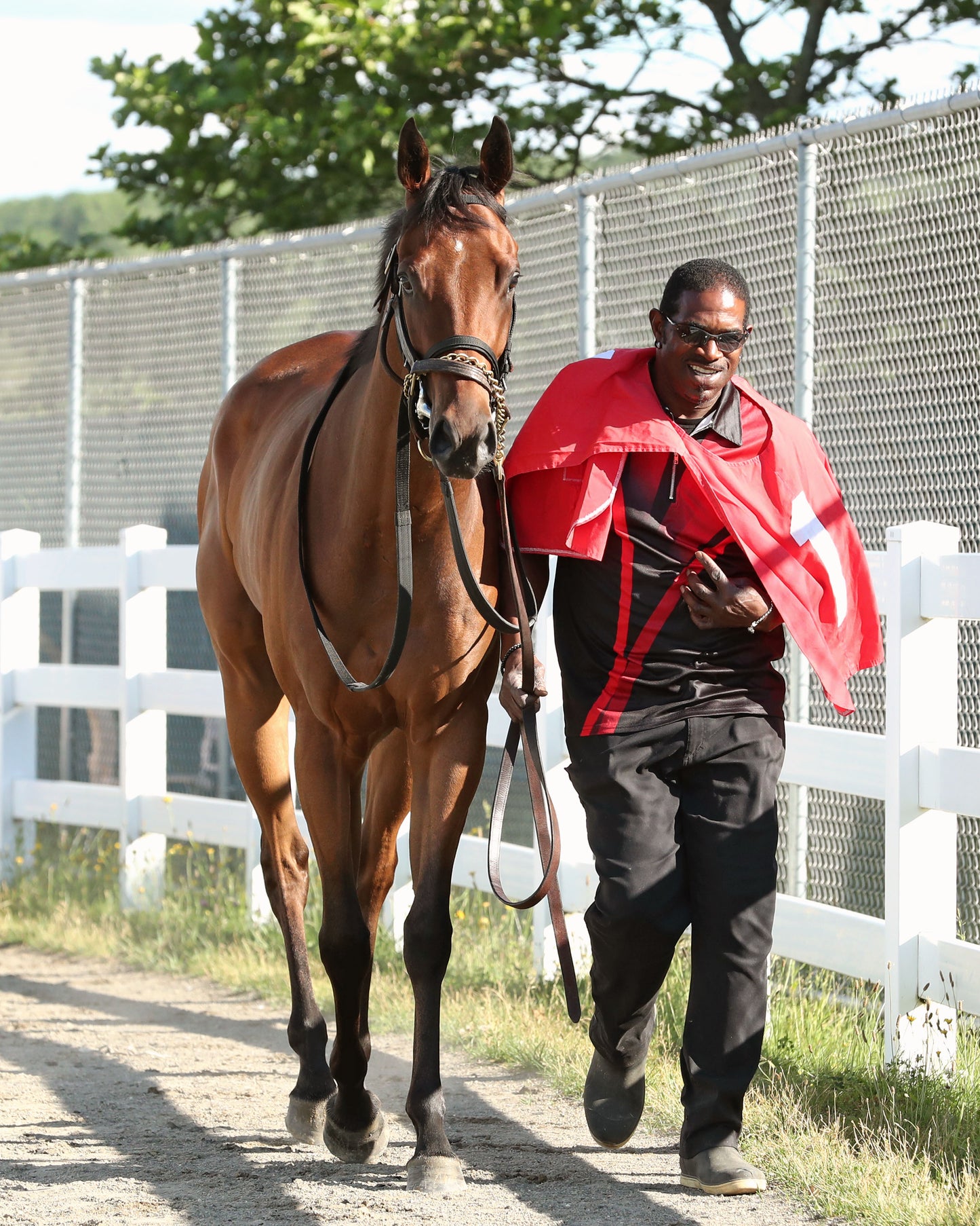 SQUAD GOALS - The 20th Running of The Tom Ridge Stakes - 06-15-26 - R07 - PID - Paddock 02