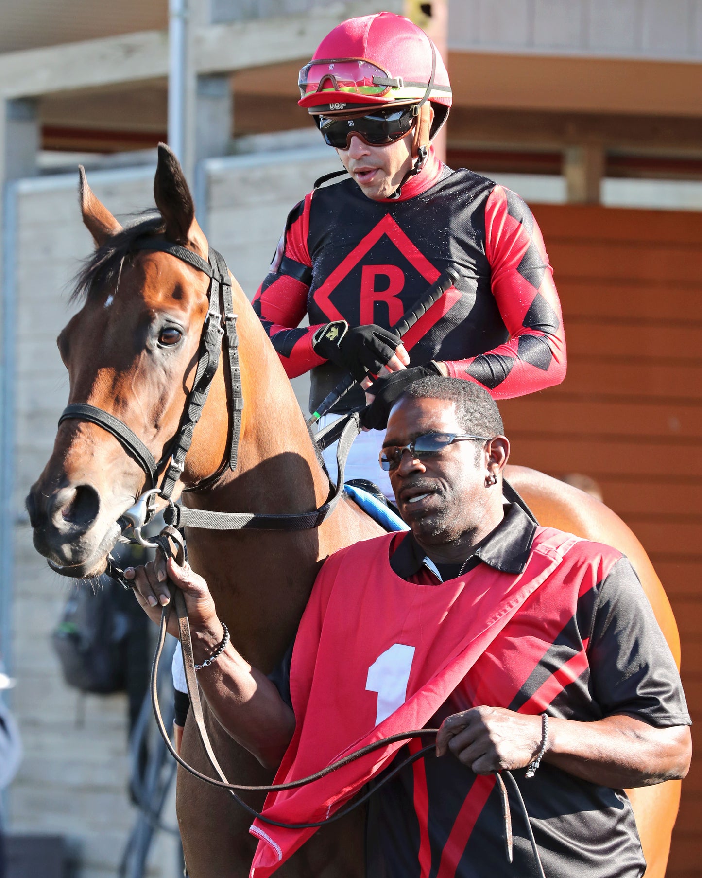 SQUAD GOALS - The 20th Running of The Tom Ridge Stakes - 06-15-26 - R07 - PID - Paddock 04