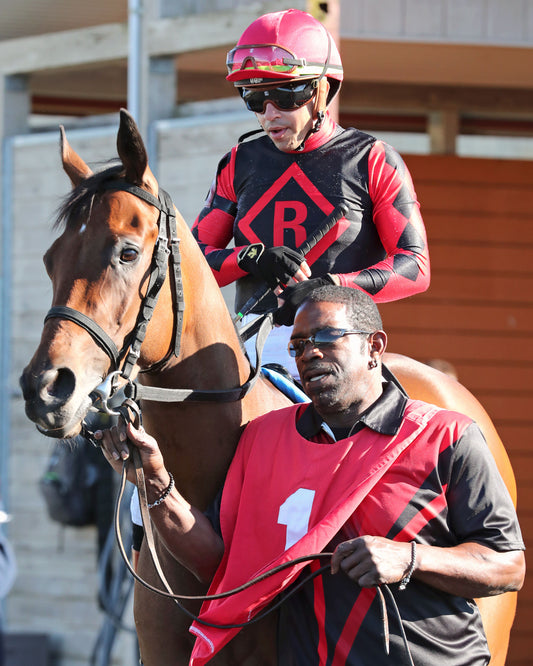 SQUAD GOALS - The 20th Running of The Tom Ridge Stakes - 06-15-26 - R07 - PID - Paddock 04