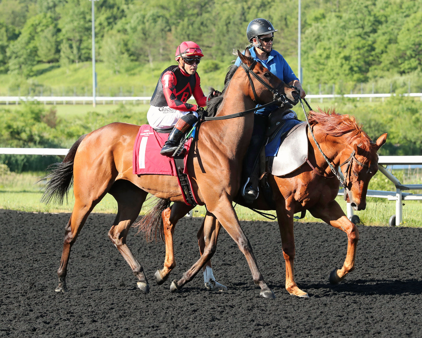 SQUAD GOALS - The 20th Running of The Tom Ridge Stakes - 06-15-26 - R07 - PID - Post Parade