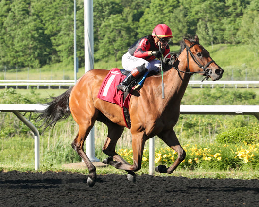 SQUAD GOALS - The 20th Running of The Tom Ridge Stakes - 06-15-26 - R07 - PID - Tight Finish