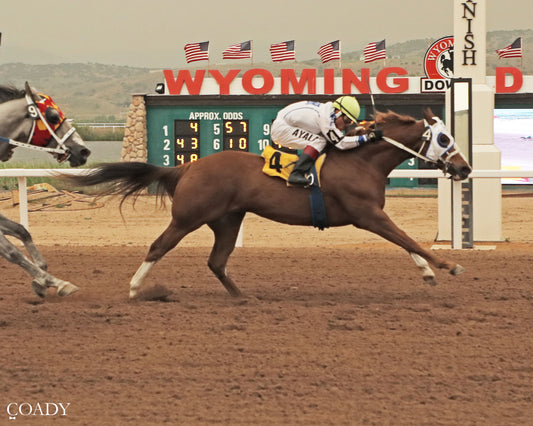 STANLEY DALE - 06-26-26 - R10 - WYO