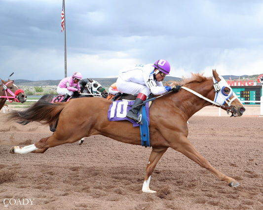 STANLEY DALE - 070226 - Race 03 - WYO  Gary Waite Maiden Stakes Trials CG Racing, LLC & Lostb River Racing, Owners  Jarrett Mills, Trainer  Eric Ayala, Jockey  $3.40 $3.00 $2.60  330 Yards  Purse $6,000
