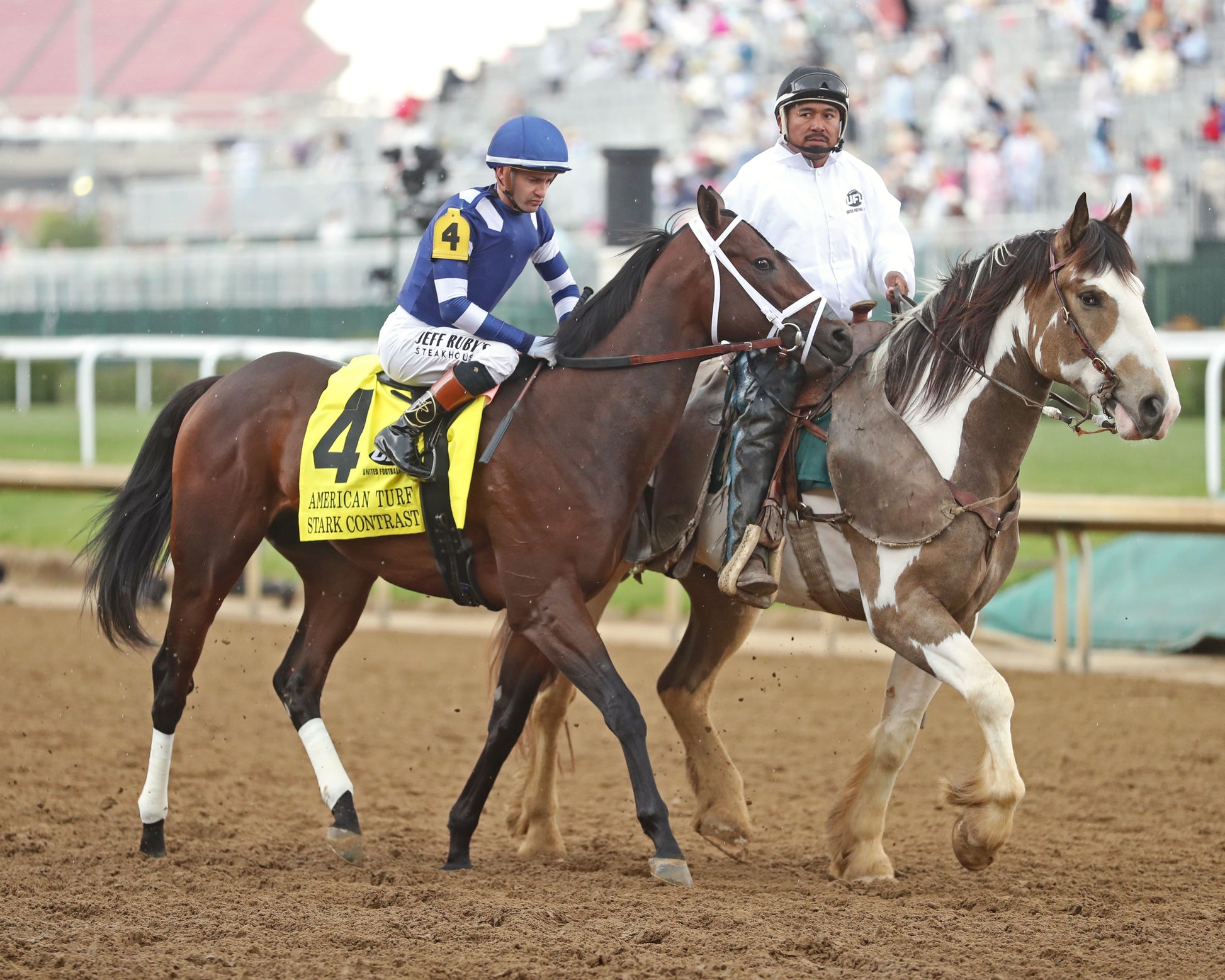 STARK CONTRAST - 050226 - Race 09 - CD - Post Parade 01 - Coady Media - Kurtis Coady Photography