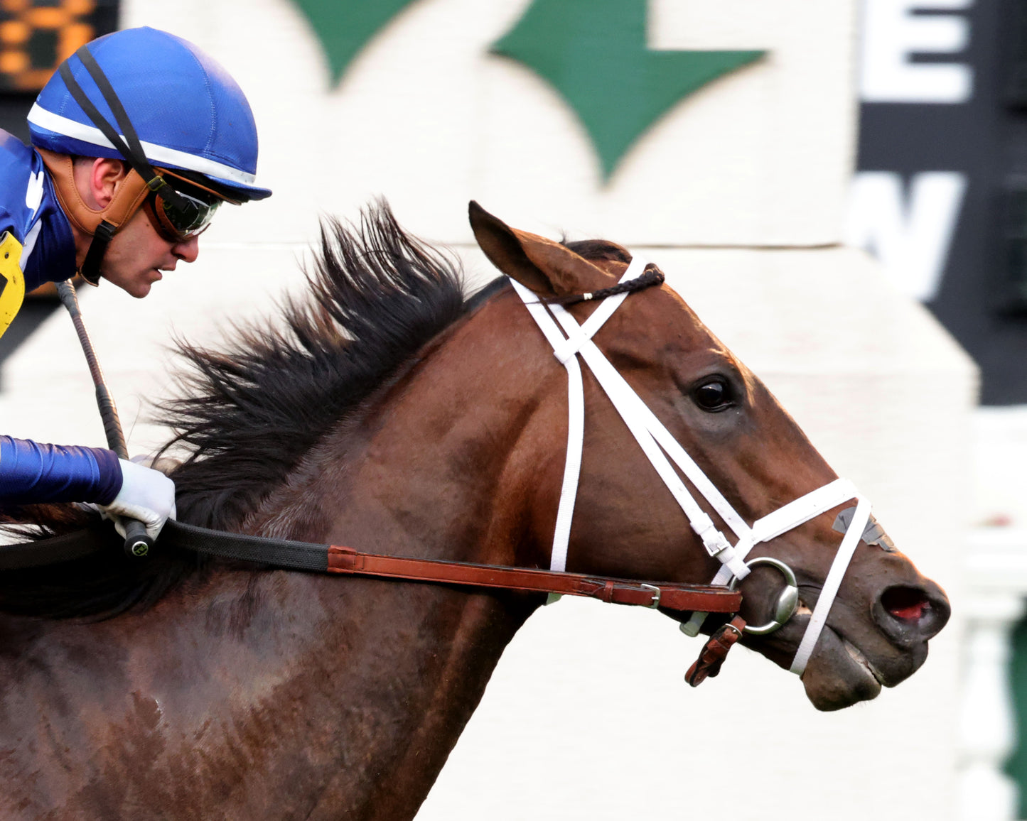 STARK CONTRAST - 050226 - Race 09 - CD - Tight Finish 01 - Coady Media - Kurtis Coady Photography