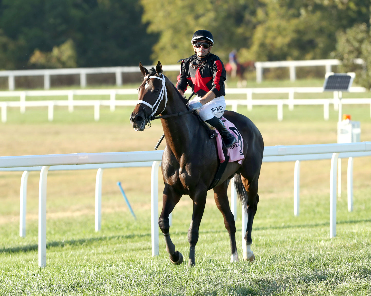 STELLIFY - Kentucky Downs Ladies Marathon Invitational G3 - 09-06-26 - R10 - KD - Come Back 01
