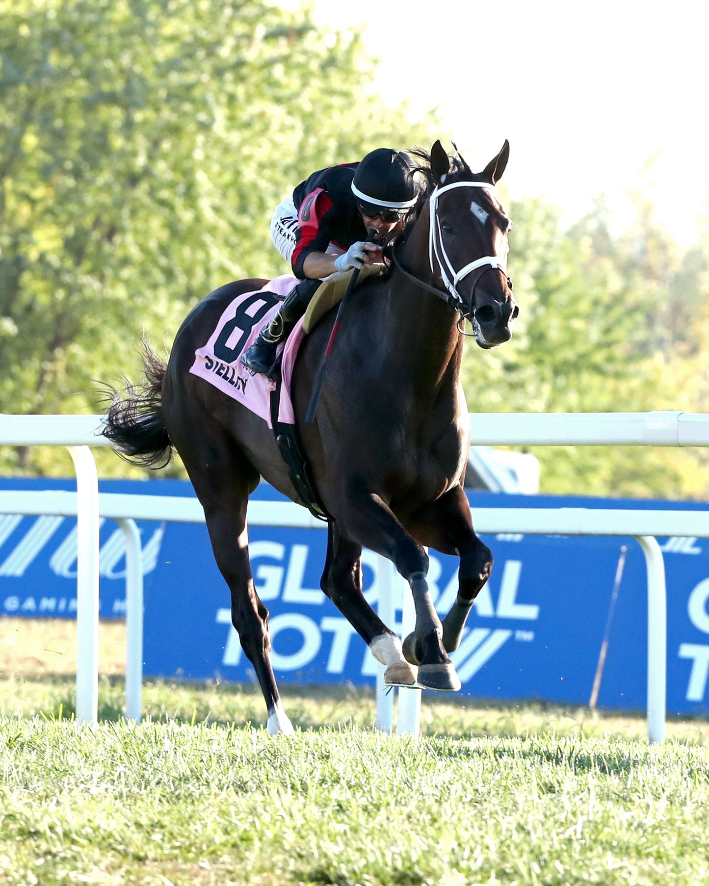 STELLIFY - Kentucky Downs Ladies Marathon Invitational G3 - 09-06-26 - R10 - KD - Finish 03