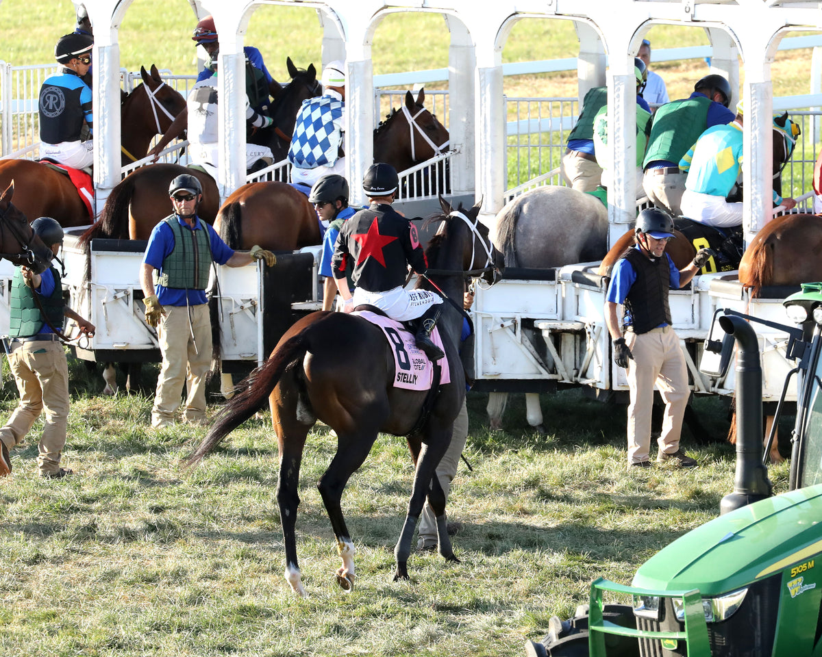 STELLIFY - Kentucky Downs Ladies Marathon Invitational G3 - 09-06-26 - R10 - KD - Start 02