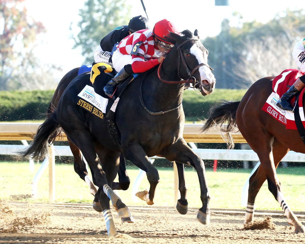 STRESS RELIEF - The Dean Dorton Myrtlewood - 10-23-26 - R08 - KEE - Finish 02