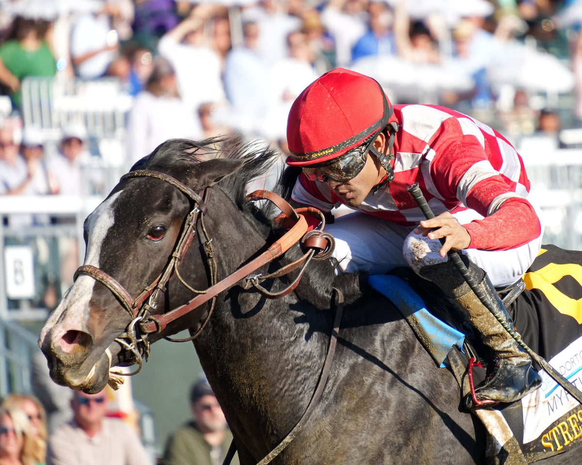 STRESS RELIEF - The Dean Dorton Myrtlewood - 10-23-26 - R08 - KEE - Inside Finish 01