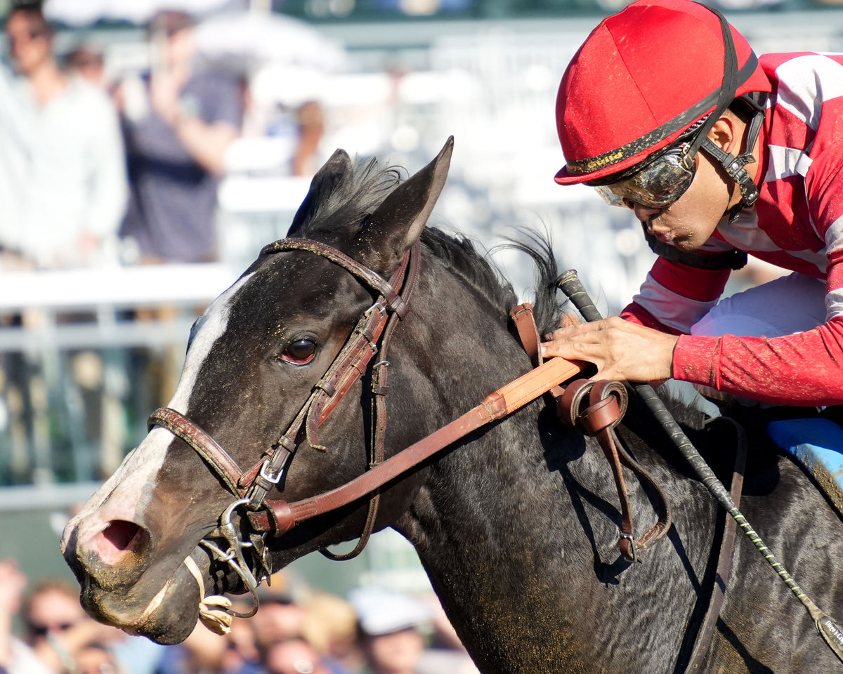 STRESS RELIEF - The Dean Dorton Myrtlewood - 10-23-26 - R08 - KEE - Inside Finish 02