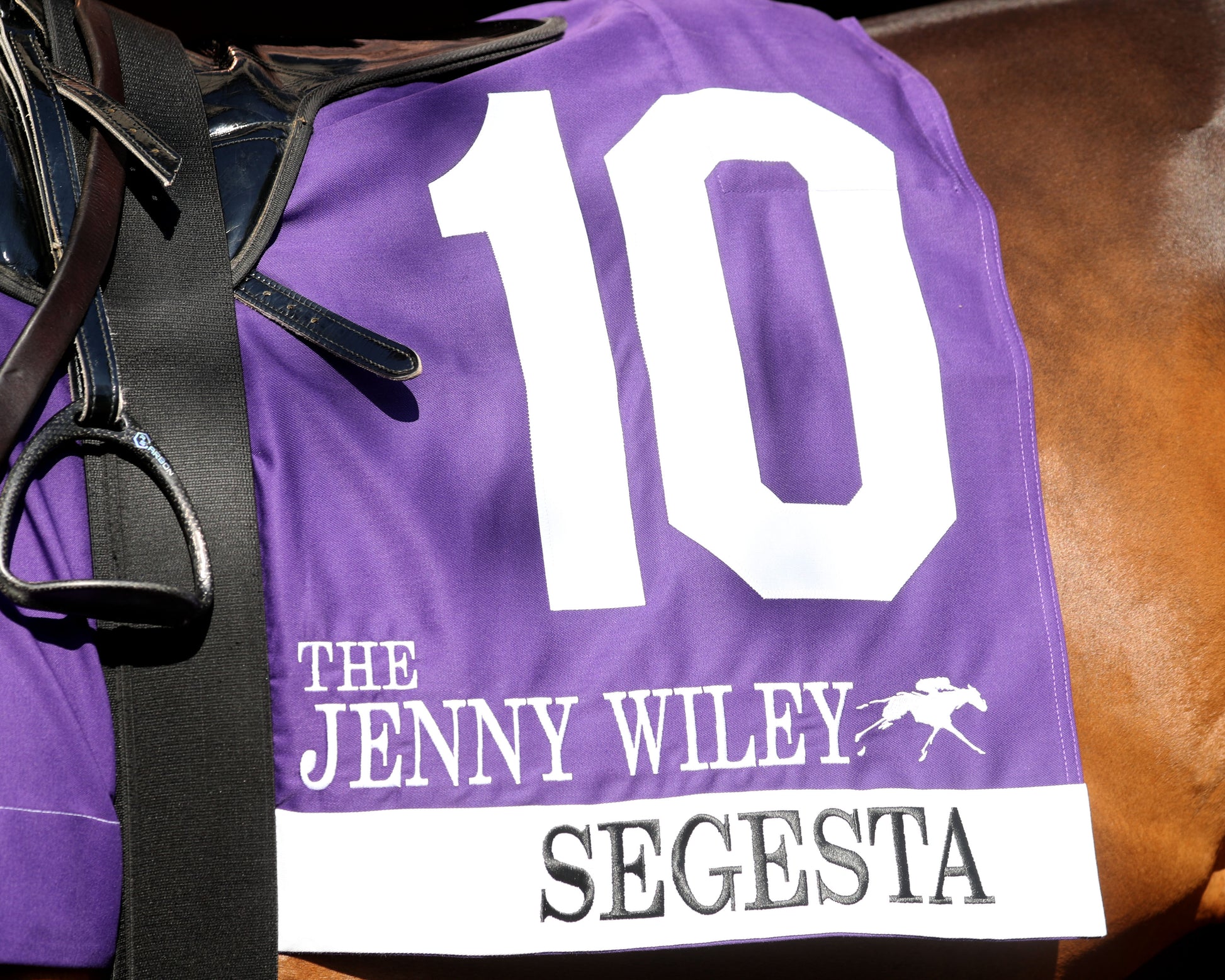 SEGESTA - Jenny Wiley G1 - 38th Running  - 04-11-26 - R09 - KEE - Saddle Towel 01 - Coady Media - Kurtis Coady Photography