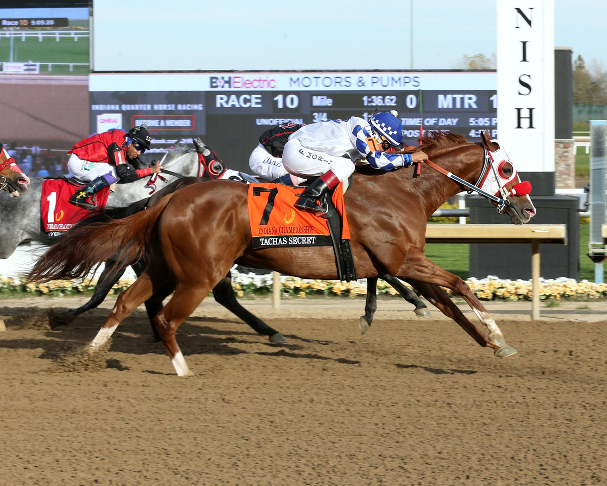 TACHAS SECRET - Indiana Championship - 14th Running - 10-24-26 - R10 - Horseshoe Indiana - Finish 01 - Sammantha Pagels - Coady Media - Kurtis Coady Photography