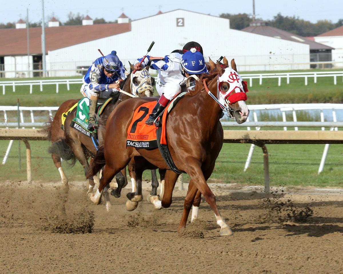 TACHAS SECRET - Indiana Championship - 14th Running - 10-24-26 - R10 - Horseshoe Indiana - Finish 02 - Sammantha Pagels - Coady Media - Kurtis Coady Photography