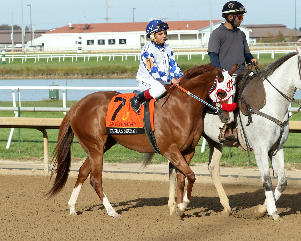 TACHAS SECRET - Indiana Championship - 14th Running - 10-24-26 - R10 - Horseshoe Indiana - Post Parade 01 - Devin Hall - Coady Media - Kurtis Coady Photography