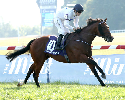 TAKE CHARGE STAR - The Mint Franklin-Simpson Stakes G2 - 09-07-26 - R11 - KD - Finish 04